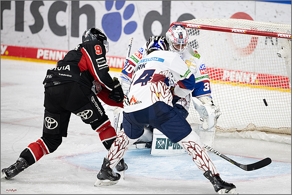 Tore, Tempo, Emotionen – Haie schlagen Eisbären 5:3