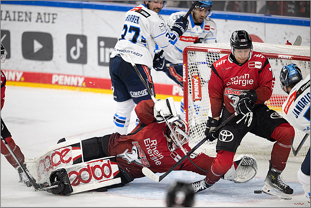 Leistungssteigerung – Haie schlagen Ingolstadt 4:3