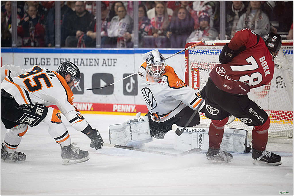Grizzlys ohne Biss – Haie gewinnen 4:1