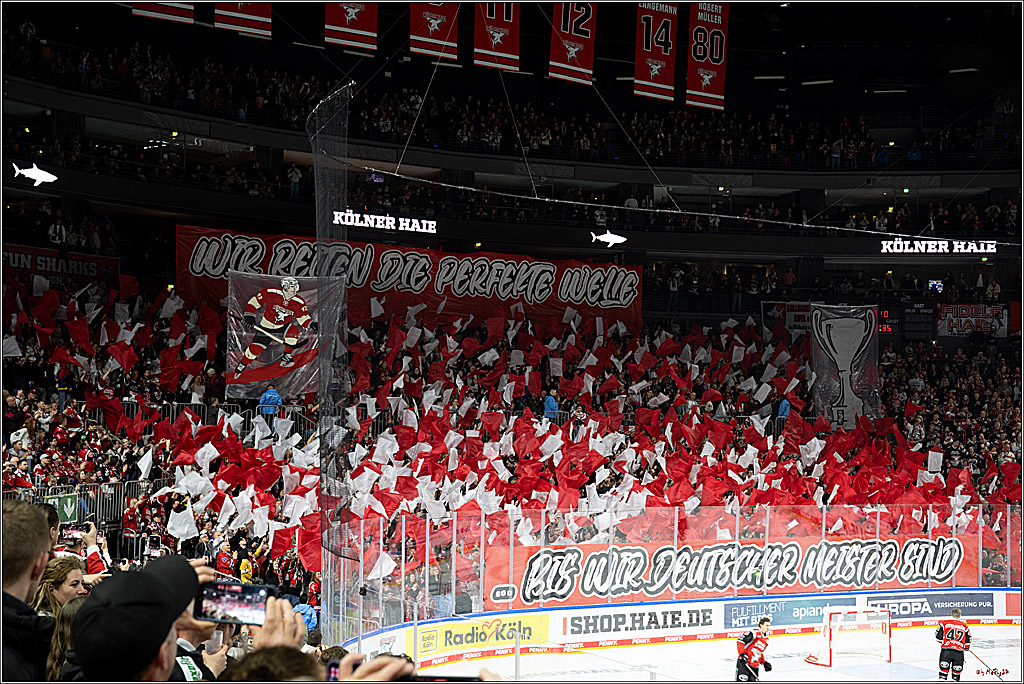 Haie setzen sich in kurzer, aber enger Serie gegen Schwenningen durch