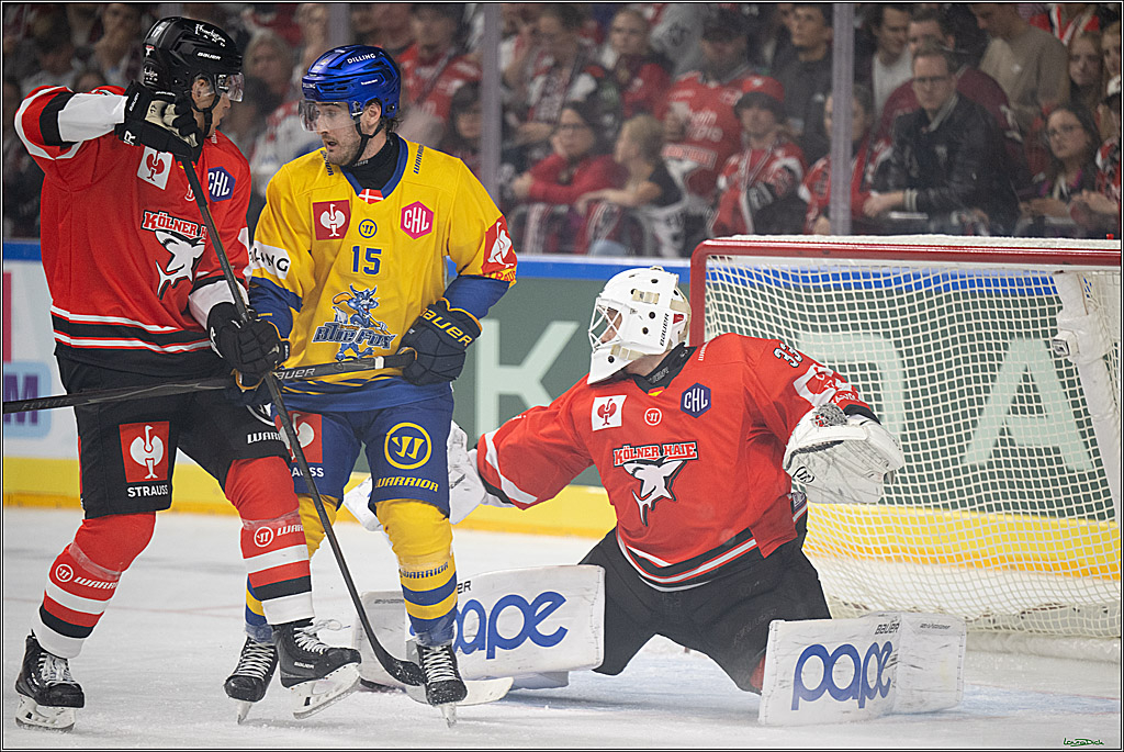 3:0 gegen Herning – Wiens mit Shutout bei Debüt